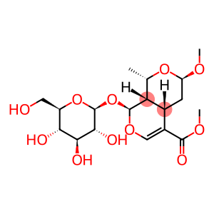 7-O-Methylmorroniside