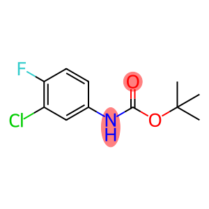 (3-chloro-4-fluoro-phenyl)-carbamic acid tert-butyl ester