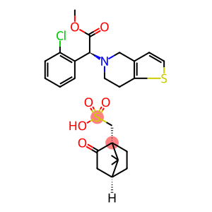 樟脑磺酸氯吡格雷