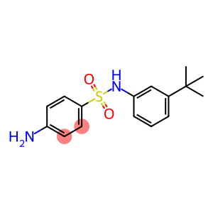 4-AMINO-N-(3-(TERT-BUTYL)PHENYL)BENZENESULFONAMIDE