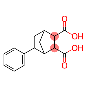 5-Phenylbicyclo[2.2.1]heptane-2,3-dicarboxylic acid