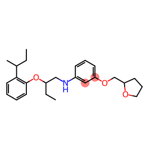 N-{2-[2-(sec-Butyl)phenoxy]butyl}-3-(tetrahydro-2-furanylmethoxy)aniline