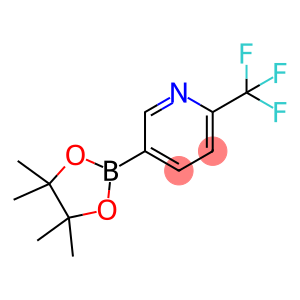 5-(4,4,5,5-Tetramethyl-1,3,2-dioxaborolan-2-yl)-2-(trifluoromethyl)pyridine