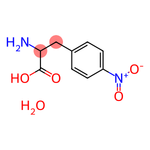 H-DL-Phe(4-NO2)-OH·H2O