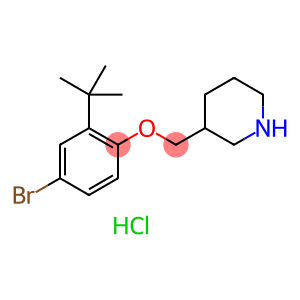 4-Bromo-2-(tert-butyl)phenyl 3-piperidinylmethylether hydrochloride
