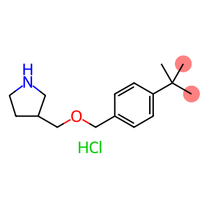 4-(tert-Butyl)benzyl 3-pyrrolidinylmethyl etherhydrochloride