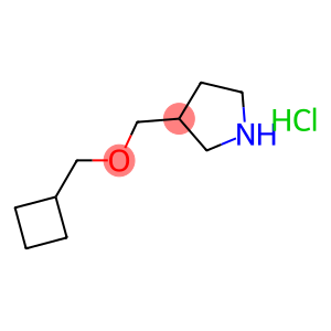 3-((CYCLOBUTYLMETHOXY)METHYL)PYRROLIDINE HYDROCHLORIDE