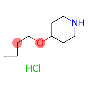 4-(Cyclobutylmethoxy)piperidine hydrochloride