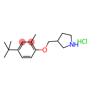 3-{[4-(tert-Butyl)-2-methylphenoxy]-methyl}pyrrolidine hydrochloride