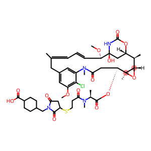 MCC-DM1