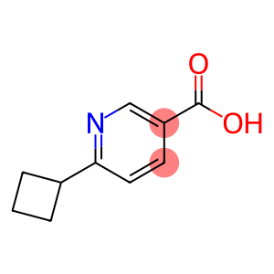 3-Pyridinecarboxylic acid, 6-cyclobutyl-