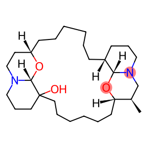 ARAGUSPONGINE B