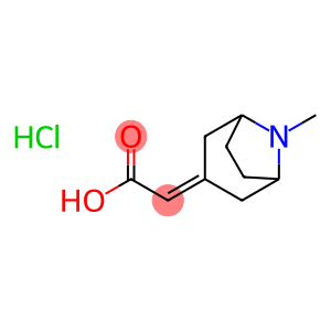 2-{8-methyl-8-azabicyclo[3.2.1]octan-3-ylidene}acetic acid hydrochloride