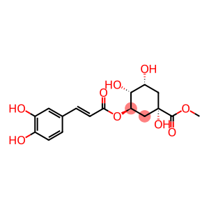 3-O-Caffeoylquinic acid methyl ester