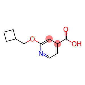 2-(Cyclobutylmethoxy)pyridine-4-carboxylic acid