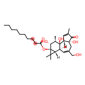 Phorbol 13-Decanoate >99%