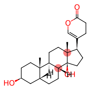 22,23-dihydrobufalin