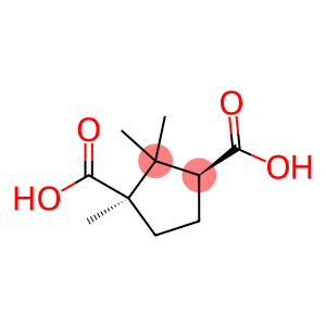 D-(+)-Camphoric acid