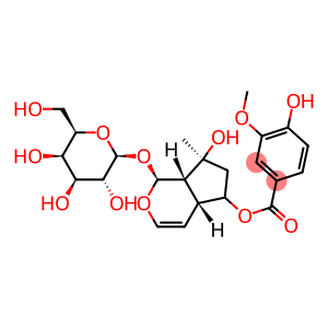 β-D-Glucopyranoside, (1S,4aR,5R,7S,7aS)-1,4a,5,6,7,7a-hexahydro-7-hydroxy-5-[(4-hydroxy-3-methoxybenzoyl)oxy]-7-methylcyclopenta[c]pyran-1-yl