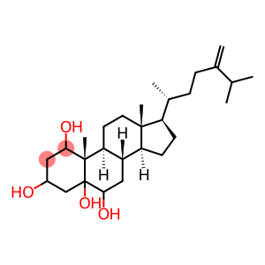 24-methylenecholestane-1,3,5,6-tetrol