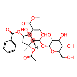 6-O-Benzoylphlorigidoside B