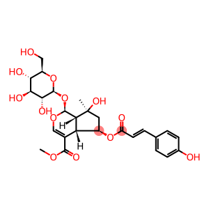 6-O-trans-p-Coumaroylshanzhiside