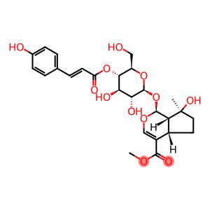 4'-O-trans-p-Coumaroylmussaenoside