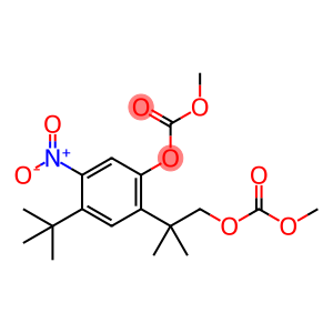 Carbonic acid, 4-(1,1-diMethylethyl)-2-[2-[(Methoxycarbonyl)oxy]-1,1-diMethylethyl]-5-nitrophenyl Methyl ester