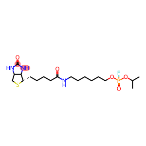 FP-Biotin-d7