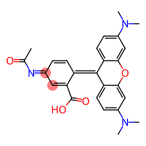 acetamidotetramethylrhodamine