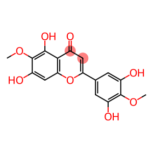 3',5,5',7-Tetrahydroxy-4',6-dime