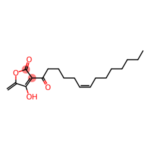 agglomerin D