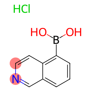 ISOQUINOLIN-5-YLBORONIC ACID HYDROCHLORIDE