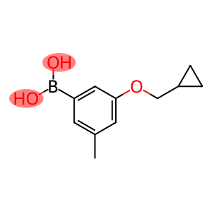 (3-(Cyclopropylmethoxy)-5-methylphenyl)boronic acid