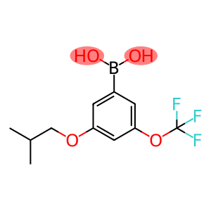 (3-Isobutoxy-5-(trifluoromethoxy)-phenyl)boronic acid