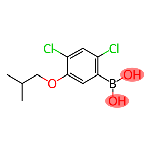 2,4-二氯-5-异丁氧基苯硼酸