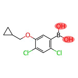 2,4-Dichloro-5-(cyclopropylMethoxy)phenylboronic acid
