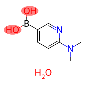 2-(Dimethylamino)pyridine-5-boronic acid, hydrade