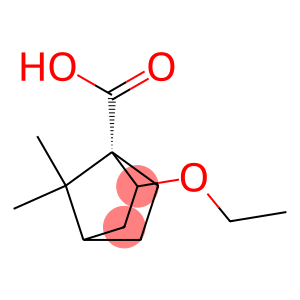 Bicyclo[2.2.1]heptane-1-carboxylic acid, 2-ethoxy-7,7-dimethyl-, (1S-endo)- (9CI)