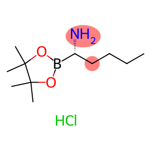 (S)-1-(4,4,5,5-Tetramethyl-1,3,2-dioxaborolan-2-yl)pentan-1-amine hydrochloride