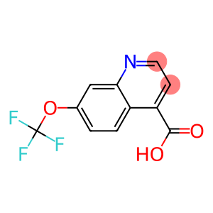 7-trifluoromethoxy-quinoline-4-carboxylic acid