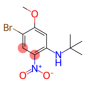 2-溴-5-叔丁基氨基-4-硝基苯甲醚