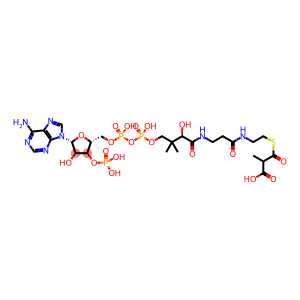 methylmalonyl-coenzyme A