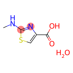 2-(methylamino)-1,3-thiazole-4-carboxylic acid hydrate