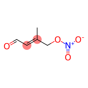 2-Butenal,3-methyl-4-(nitrooxy)-