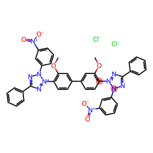 3-NITROTETRAZOLIUM BLUE CHLORIDE