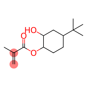 4-tert-butyl-2-hydroxycyclohexylmethacrylate