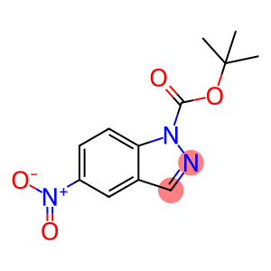 5-硝基-1H-吲唑-1-羧酸叔丁酯