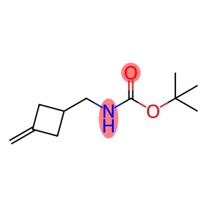 Carbamic acid, [(3-methylenecyclobutyl)methyl]-, 1,1-dimethylethyl ester (9CI)