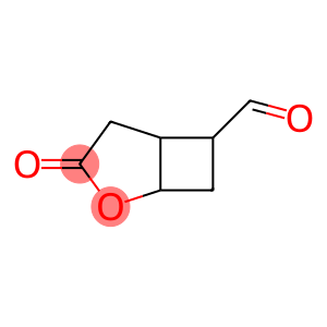 2-Oxabicyclo[3.2.0]heptane-6-carboxaldehyde, 3-oxo- (9CI)